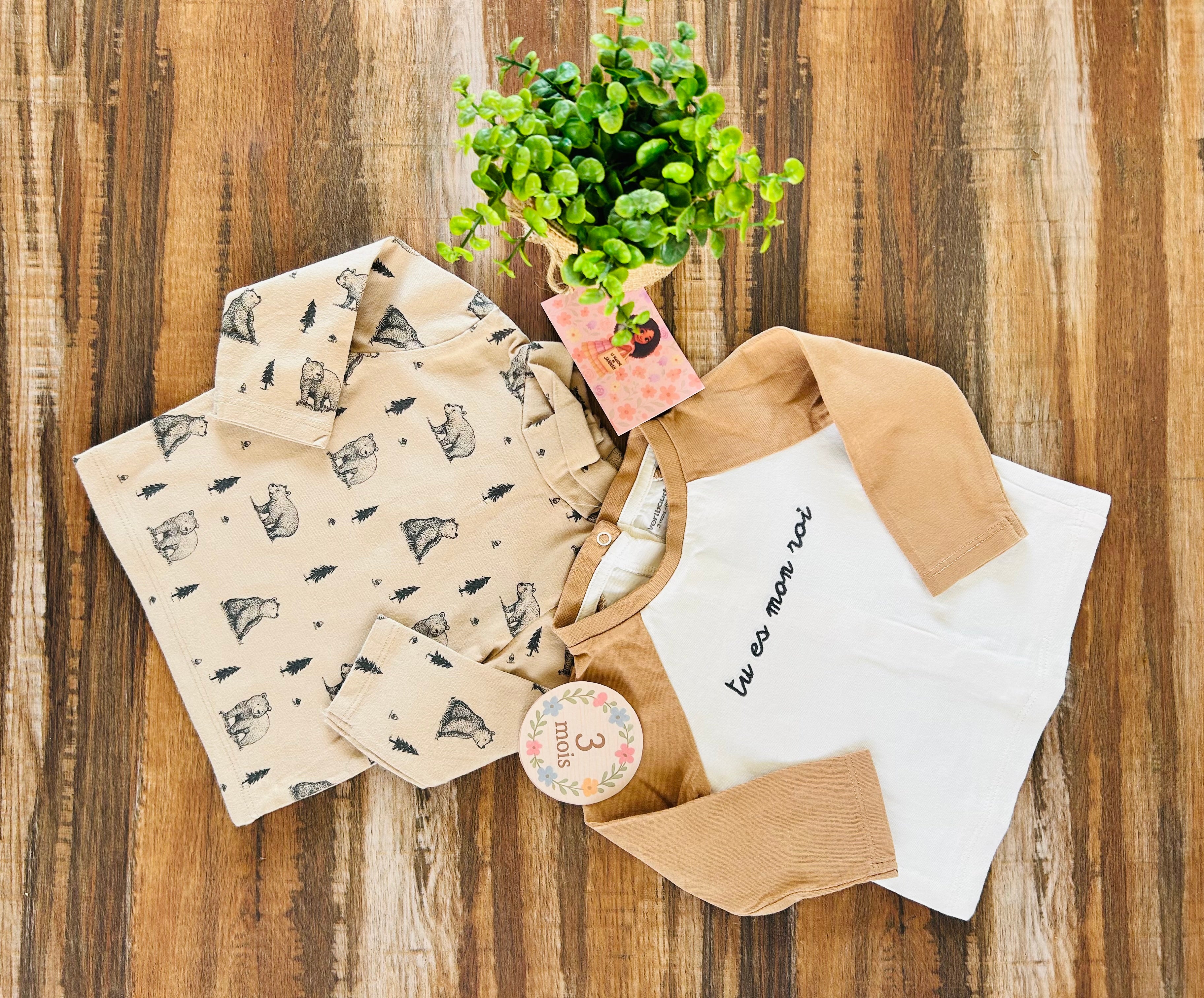 Lot de t-shirt manches longues Vertbaudet