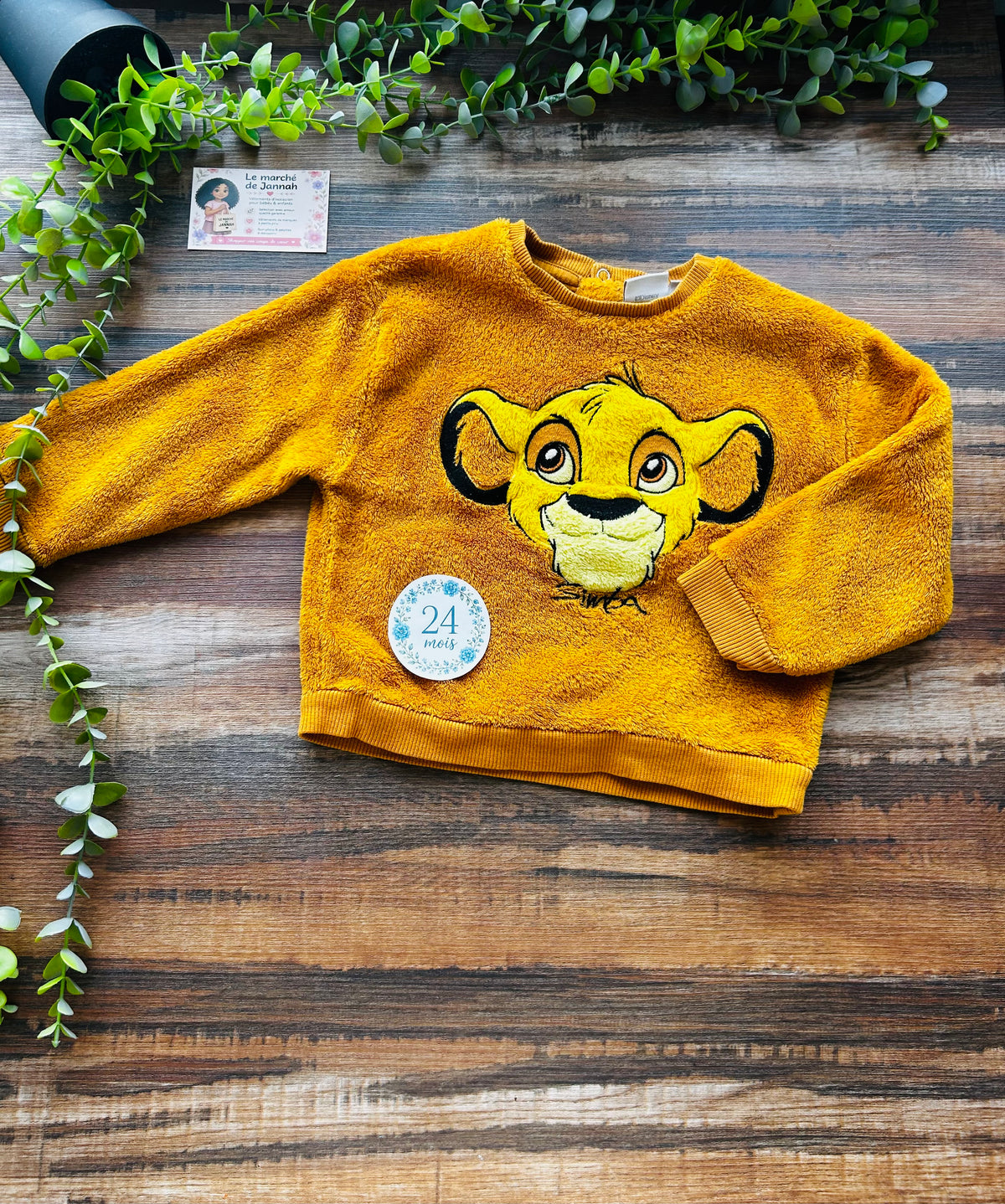 Pull Disney