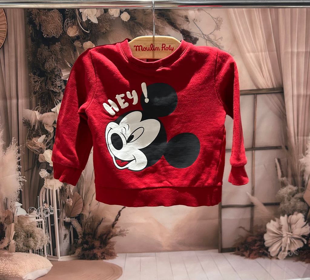 Pull Disney ~ 18 mois