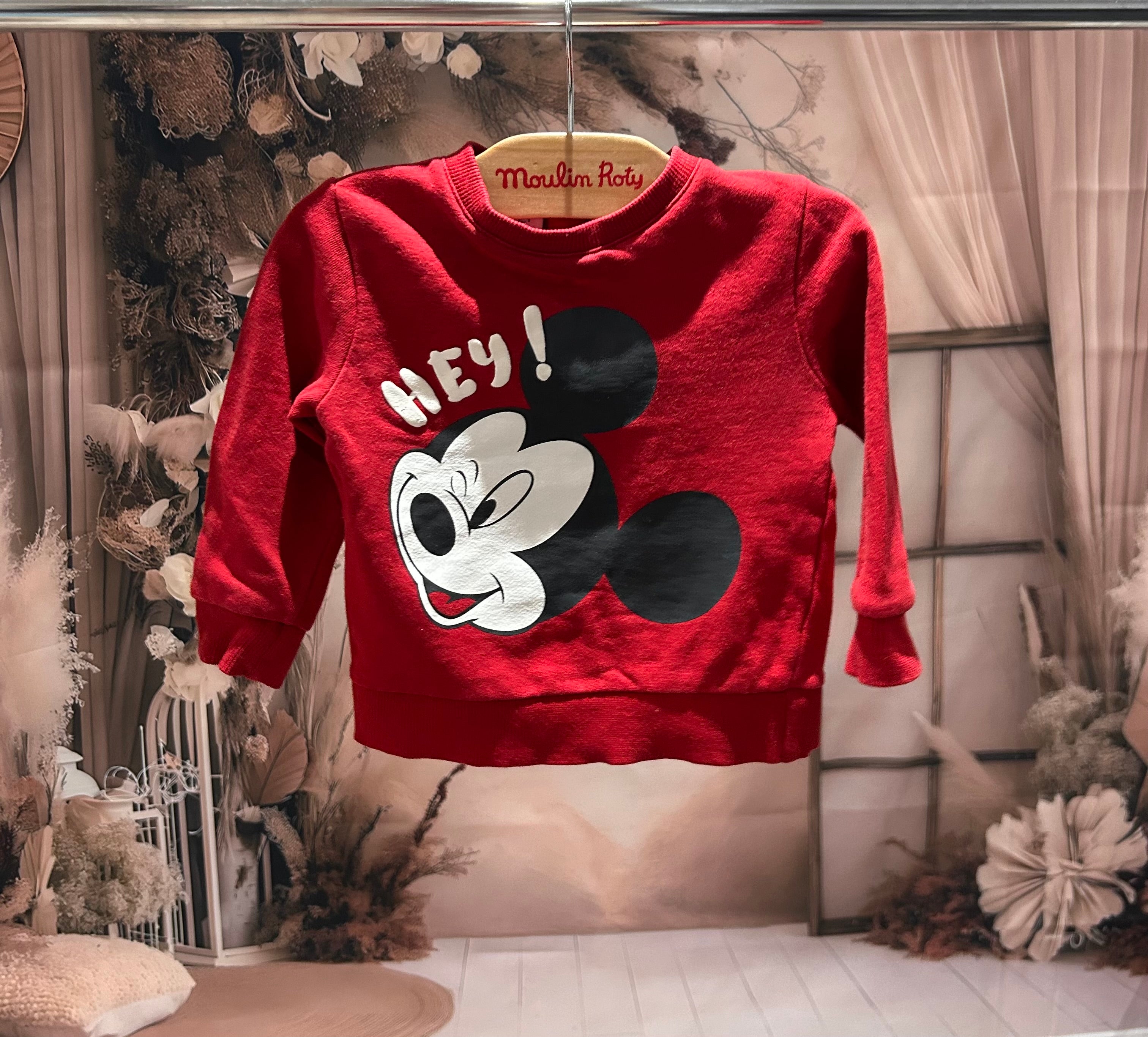 Pull Disney ~ 18 mois