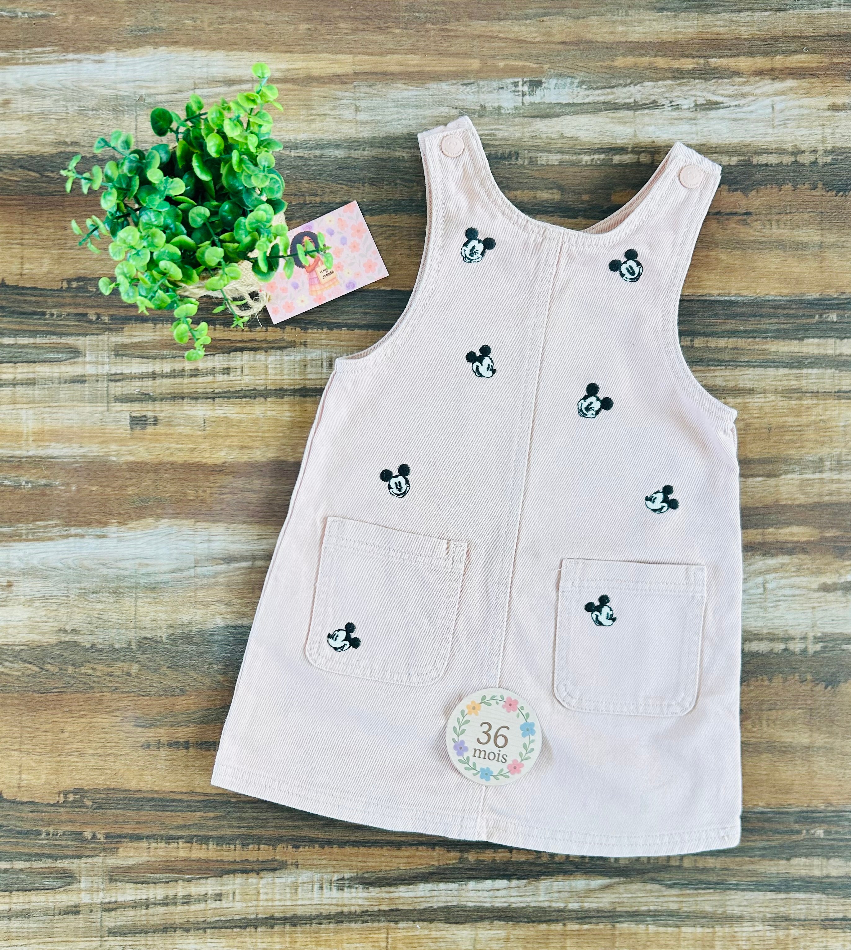 Robe Disney