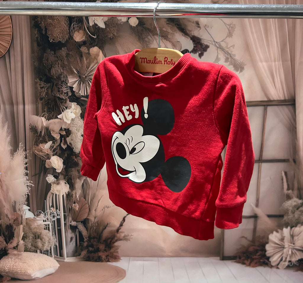 Pull Disney ~ 18 mois