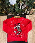 Pull de Noël Disney ~ 24 mois