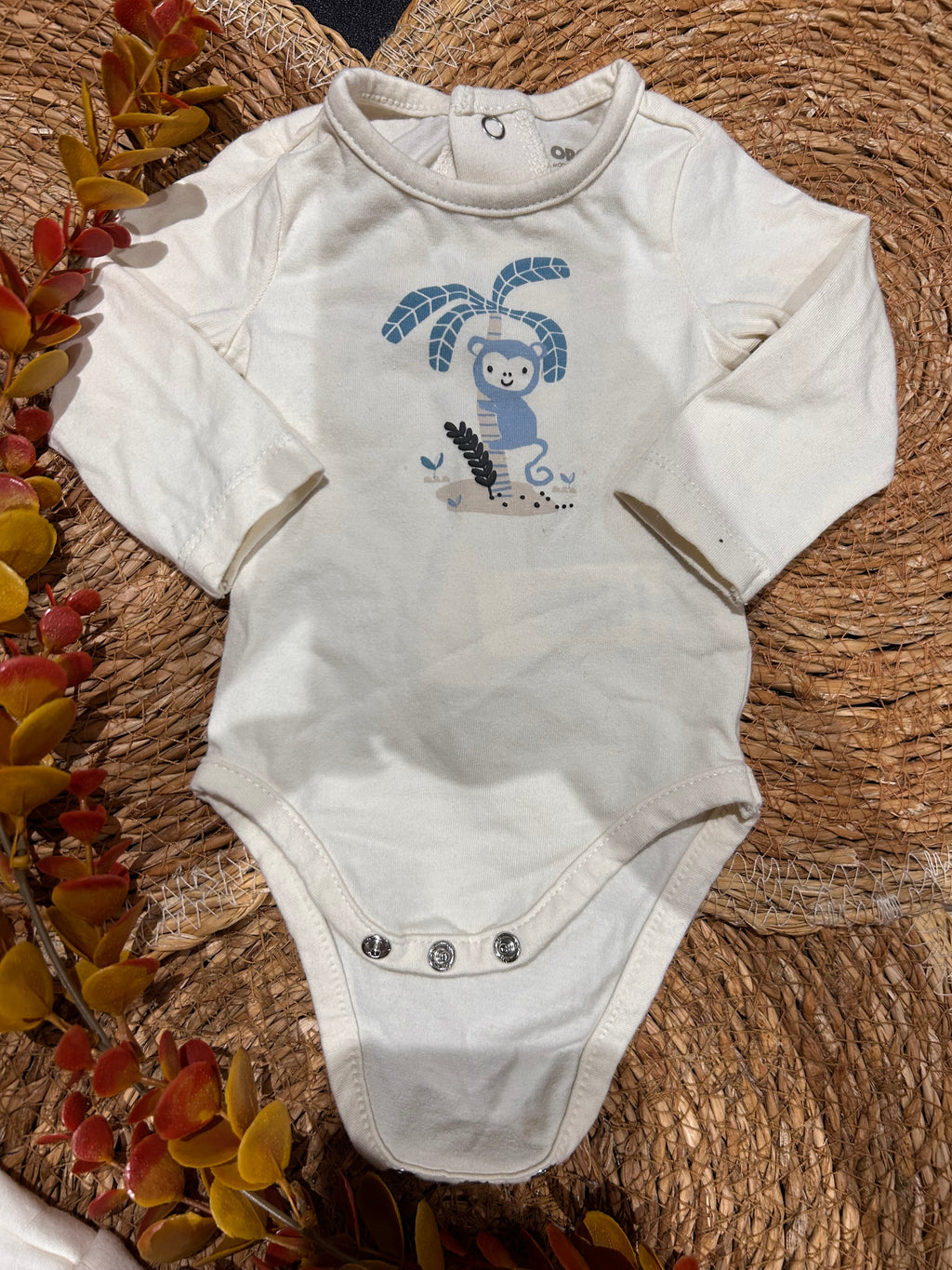 Ensemble Orchestra ~ 1 mois