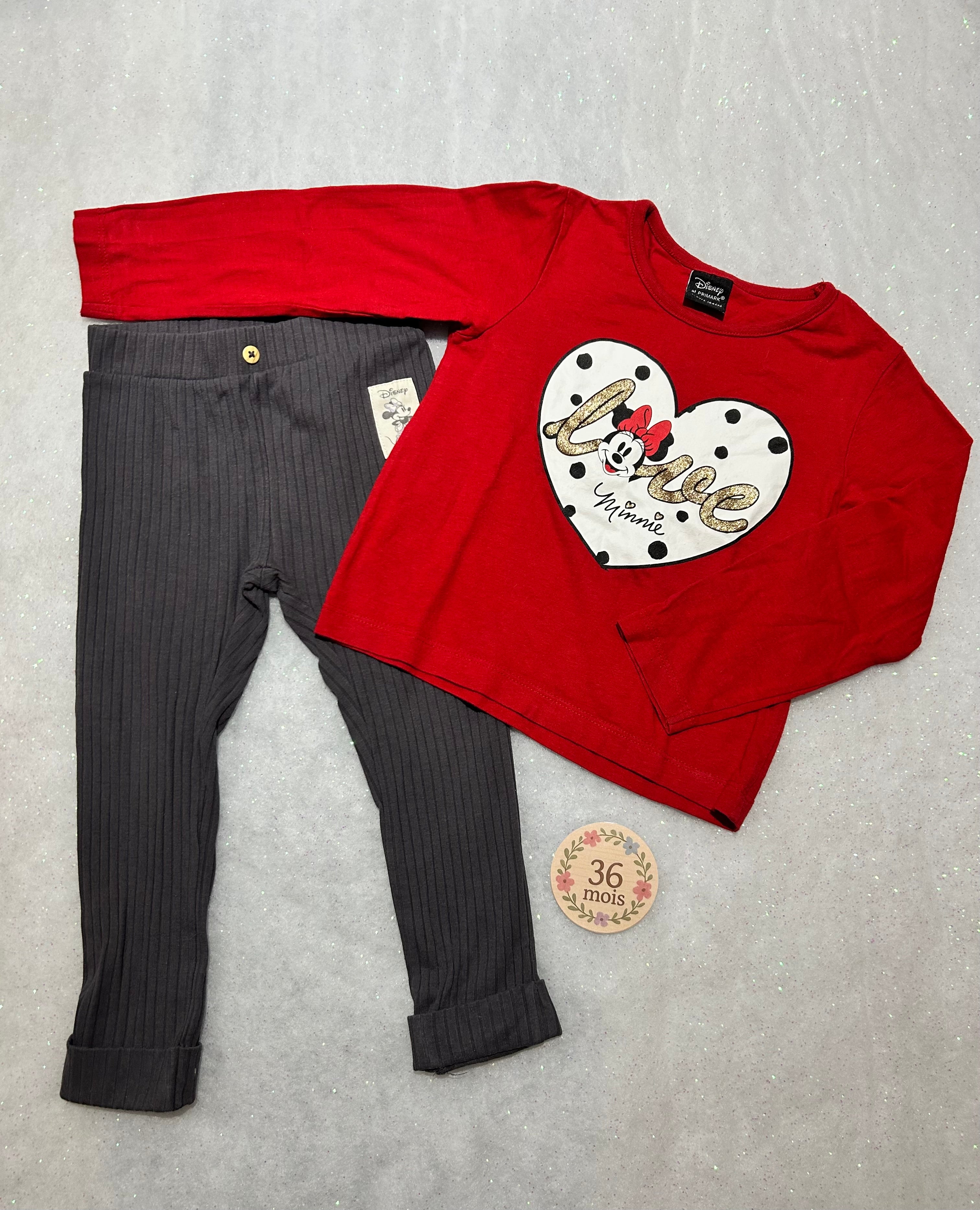 Ensemble Disney