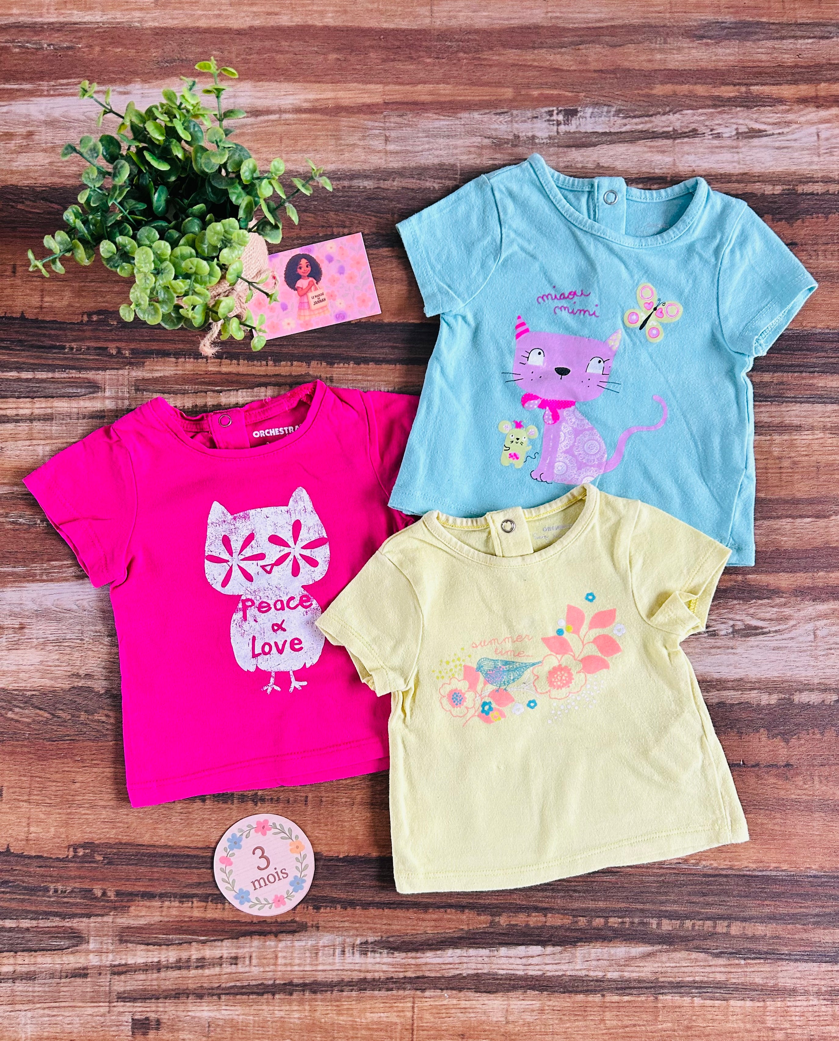 Lot de t-shirt Orchestra