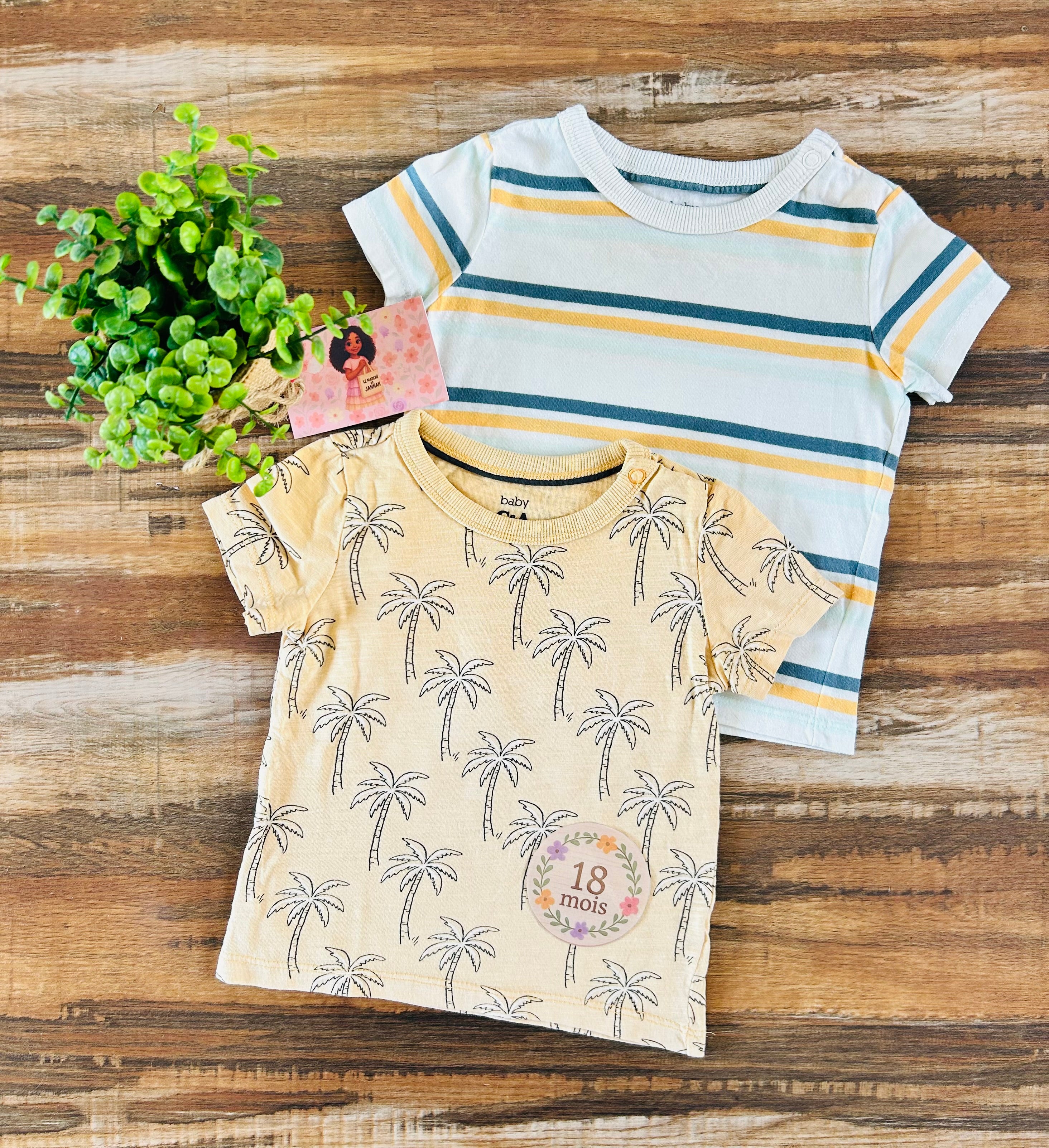 Lot de t-shirt C&A